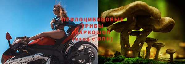 шишки Балабаново