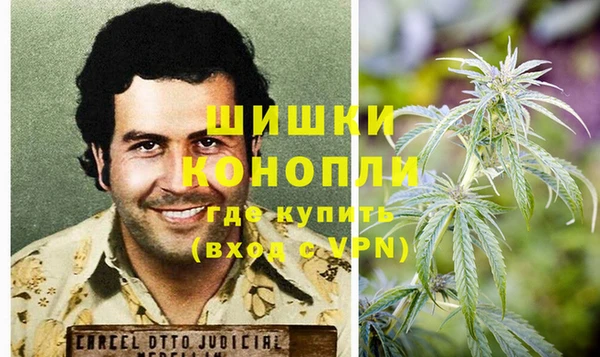 шишки Балабаново