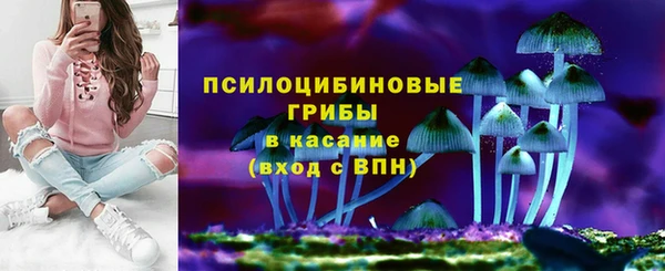гашик Беломорск